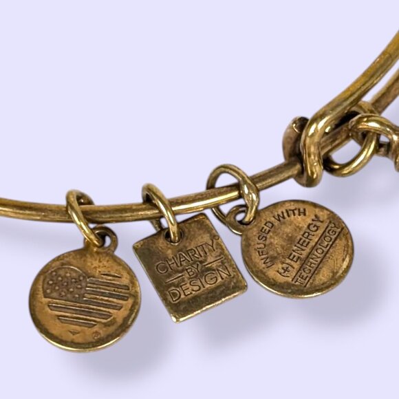 Alex and Ani Energy Infused Ice Cream Bracelet - Picture 3 of 5